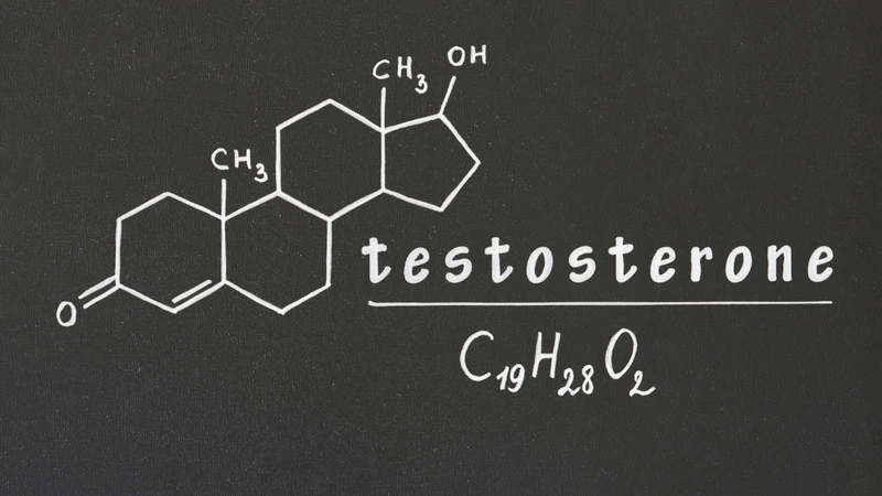 Testosterone có vai trò gì với nam giới? Hiểu đúng để bảo vệ sức khỏe toàn diện 2