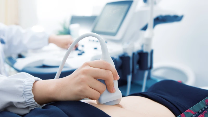 Thai 2 tuần tuổi chưa thể hiện rõ trên siêu âm, túi thai và phôi thai lúc này vẫn chưa hình thành rõ ràng