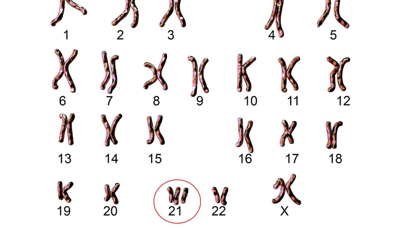 Thai 3 tuần siêu âm có thấy không? Những mốc siêu âm thai quan trọng mẹ bầu cần biết 3