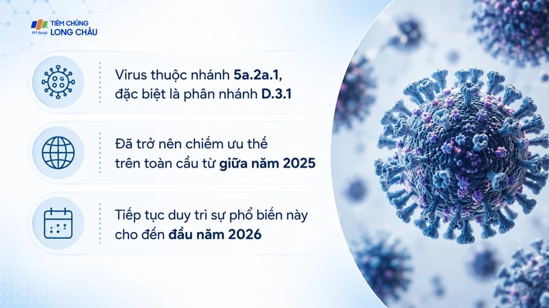 Các virus thuộc nhánh 5a.2a.1 đã trở nên chiếm ưu thế trên toàn cầu