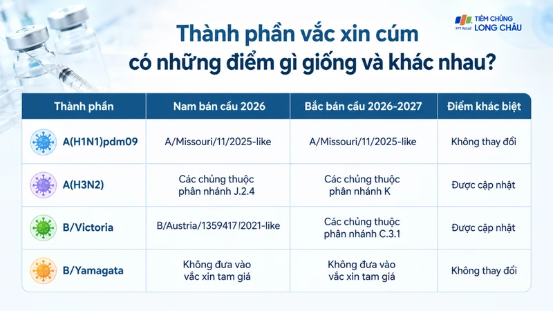 Những thay đổi trong thành phần vắc xin cúm cho Bắc bán cầu 2026 - 2027 và Nam bán cầu 2026