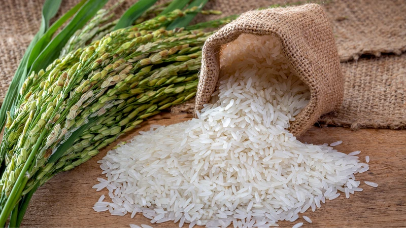 Tháp dinh dưỡng cho trẻ: Chìa khóa xây dựng sức khỏe vững chắc từ bé 3
