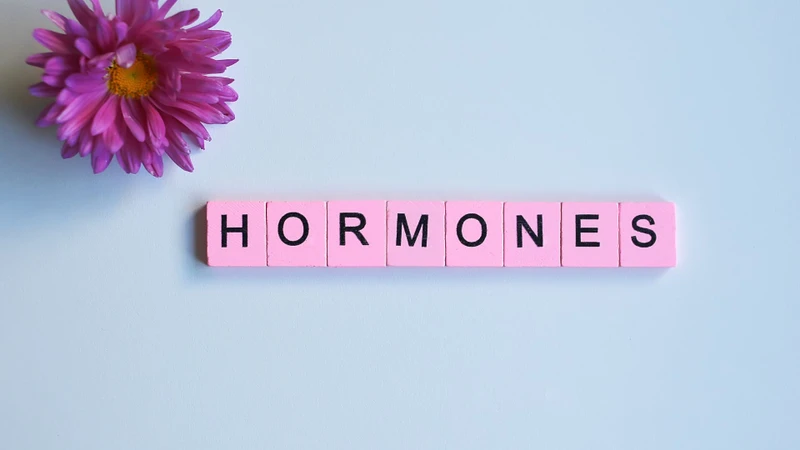 Sự thay đổi hormone sinh sản là nguyên nhân dẫn đến sự thay đổi sợi bọc của tuyến vú