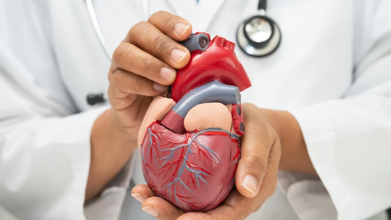 Phẫu thuật thay van tim là một bước tiến quan trọng trong điều trị các bệnh lý van tim