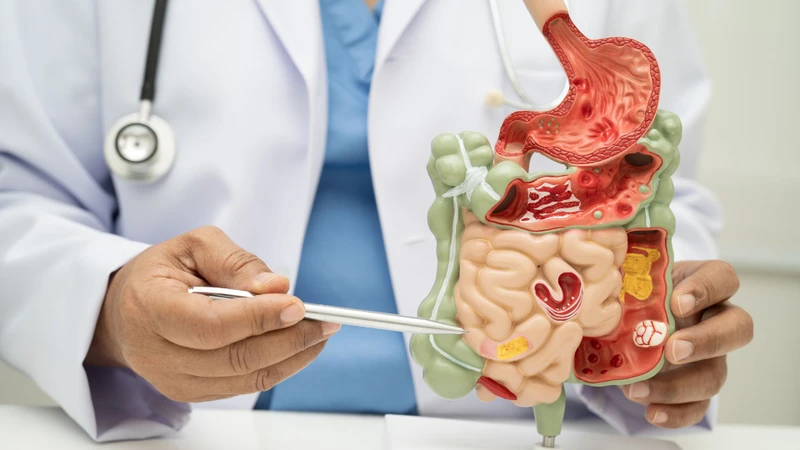 Hệ tiêu hóa có mối liên hệ mật thiết với não bộ nên nếu hệ tiêu hóa mất cân bằng, các rối loạn tâm thần có thể xuất hiện rõ rệt