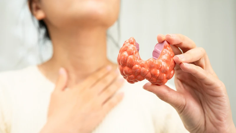 Cường giáp có thể làm rối loạn quá trình chuyển hóa và cân bằng magie, từ đó gây thiếu magie