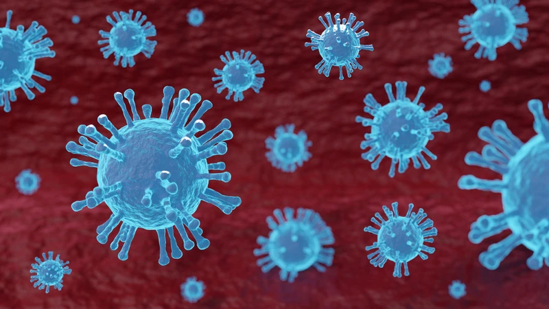 Tại Việt Nam, virus cúm lưu hành quanh năm và thường bùng phát theo mùa tùy khu vực