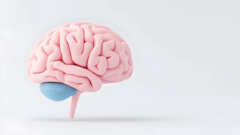Có nhiều nguyên nhân dẫn đến thóp phồng ở trẻ sơ sinh