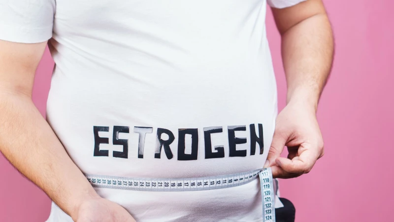 Lượng mô mỡ cao có thể góp phần làm tăng estrogen lưu hành