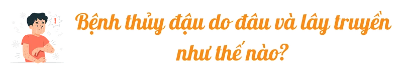thuy-dau-title-2.png