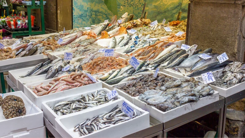 Cá biển có thể chứa methylmercury từ nguồn ô nhiễm môi trường