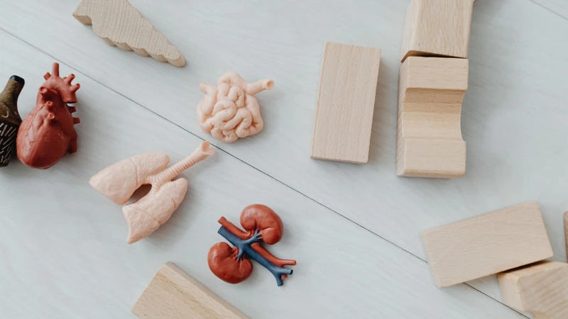 Thuyên tắc ối có thể gây biến chứng ở nhiều cơ quan