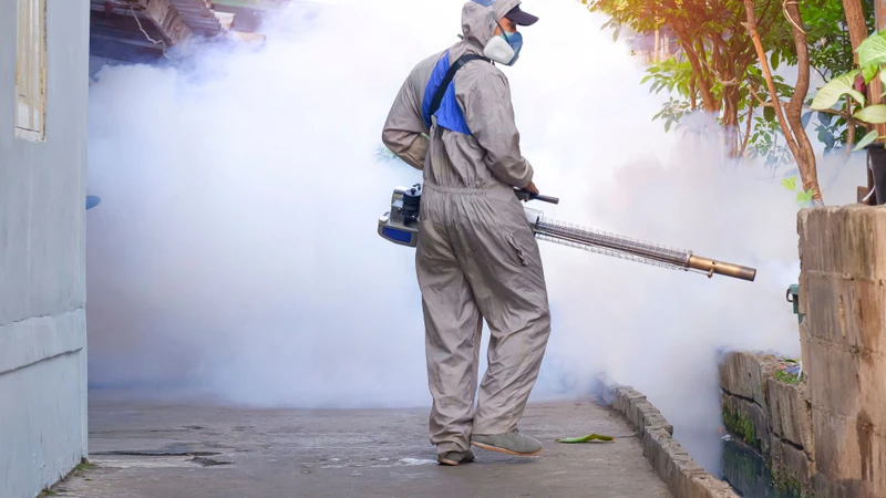 Địa chỉ tiêm phòng sốt xuất huyết ở Cà Mau an toàn uy tín 4