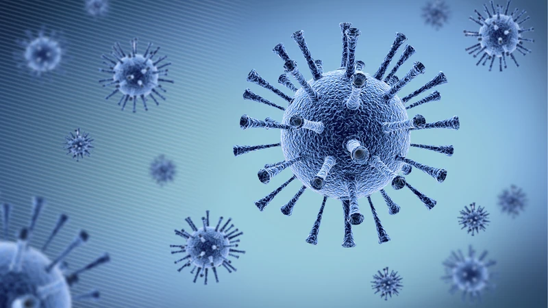 Các chủng virus Cúm lưu hành trong cộng đồng có thể khác biệt đáng kể theo từng mùa
