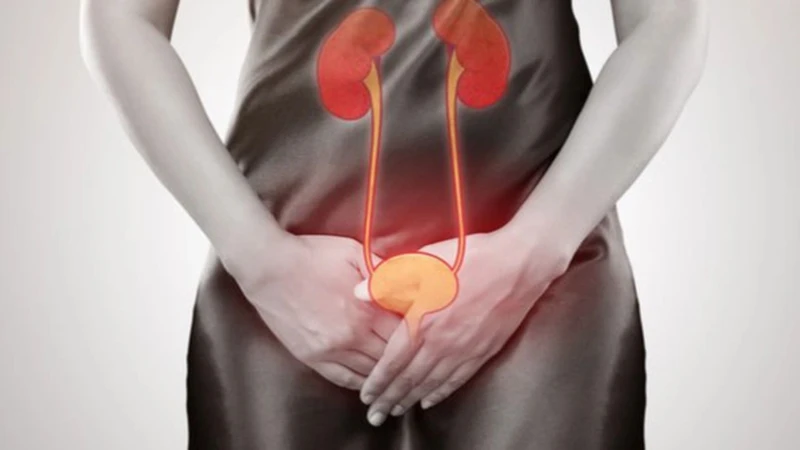 Tiểu buốt tiểu rắt ra máu ở nữ: Dấu hiệu cảnh báo bệnh lý nguy hiểm không nên bỏ qua 2