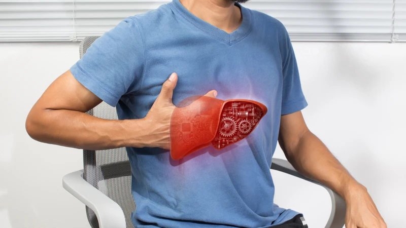 Tiểu thùy gan đảm nhiệm chức năng chuyển hóa và thải độc