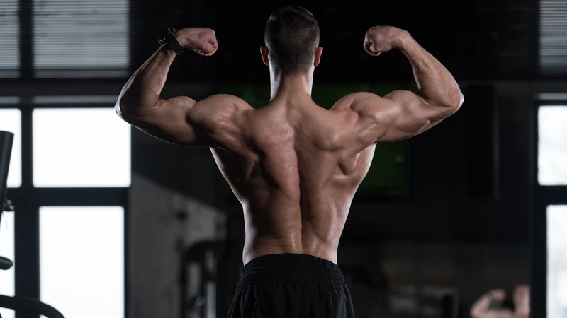 Cơ lưng sâu khỏe mạnh giúp bảo vệ và ổn định cột sống