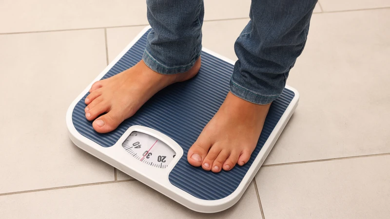 Rau hữu cơ sẽ giúp giảm cảm giác thèm ăn nhờ hàm lượng chất xơ cao
