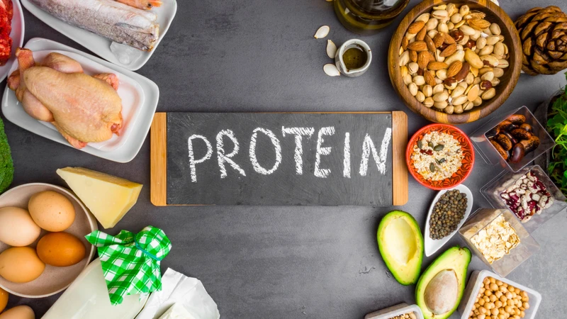 Nhu cầu protein tham chiếu đối với người trưởng thành khỏe mạnh là khoảng 0,8 g protein/kg trọng lượng cơ thể/ngày