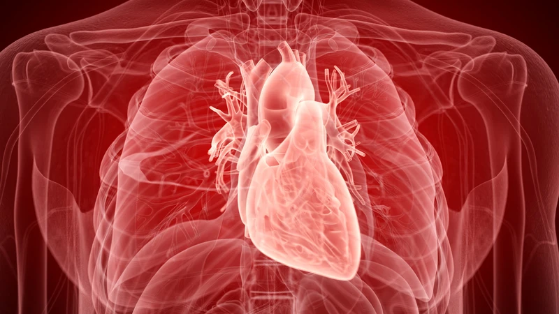 Những thay đổi của tĩnh mạch azygos có giá trị hỗ trợ chẩn đoán nhiều bệnh lý khác