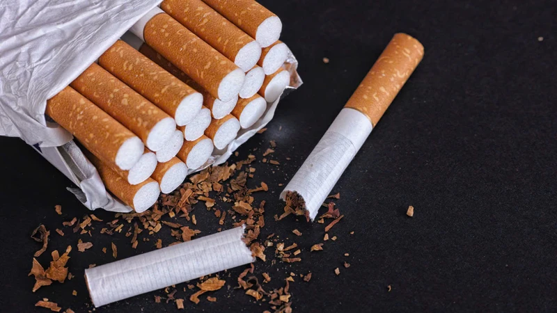 Tĩnh mạch phổi là gì? Cấu trúc và chức năng của tĩnh mạch phổi 4
