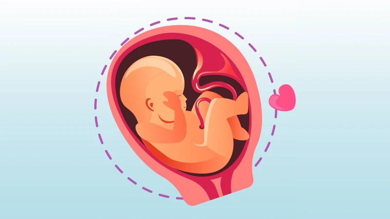 Dị dạng hoặc bất thường kết hợp của dây rốn có thể làm tăng nguy cơ hạn chế tăng trưởng thai, sinh non hoặc các biến chứng sản khoa