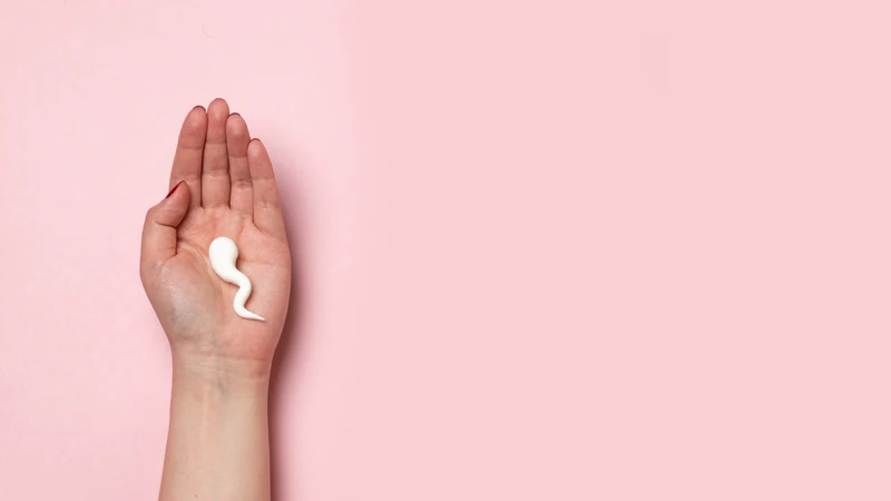 Tinh trùng có thấm qua quần áo không? Sự thật bạn cần biết để tránh lo lắng không cần thiết1