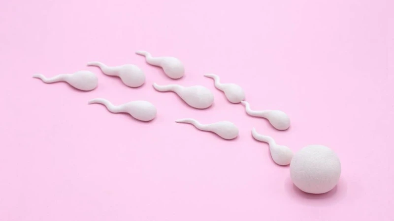 Tinh trùng tồn tại bao lâu ngoài không khí? 4