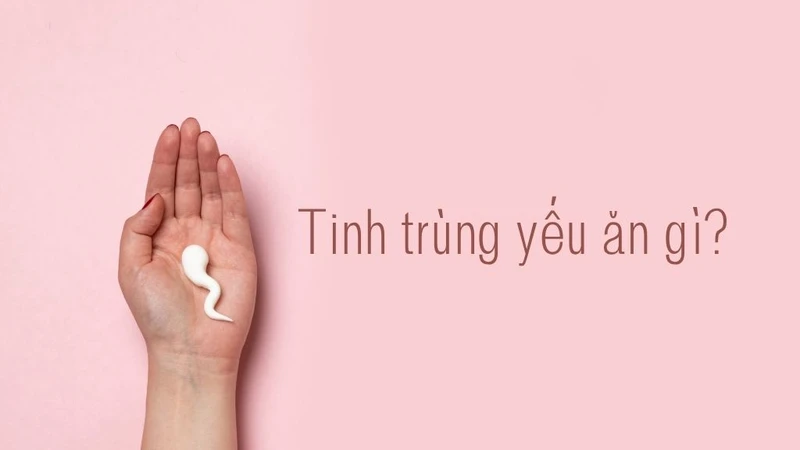 Tinh trùng yếu ăn gì? Cẩm nang dinh dưỡng toàn diện giúp tăng chất lượng tinh binh 2