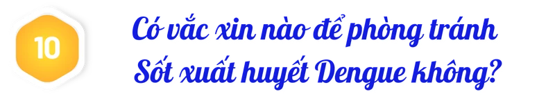 title-sot-xuat-huyet-dengue-10.png