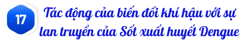 title-sot-xuat-huyet-dengue-17.png