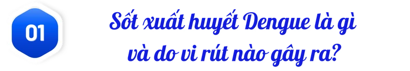 title-sot-xuat-huyet-dengue-1.png