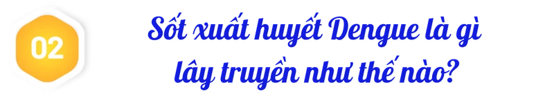 title-sot-xuat-huyet-dengue-2.png