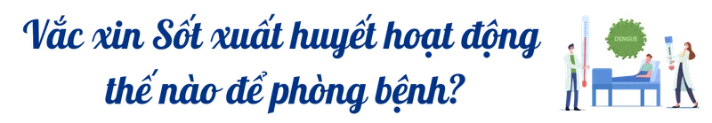 title-tiem-vac-xin-sot-xuat-huyet-3.png