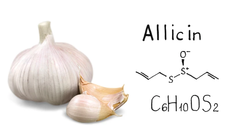 Tỏi chứa allicin có tác dụng kháng viêm, kháng khuẩn