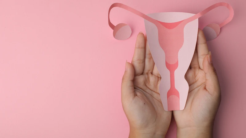 Tới ngày rụng trứng bị ra máu có sao không? Đây thường là hiện tượng sinh lý bình thường