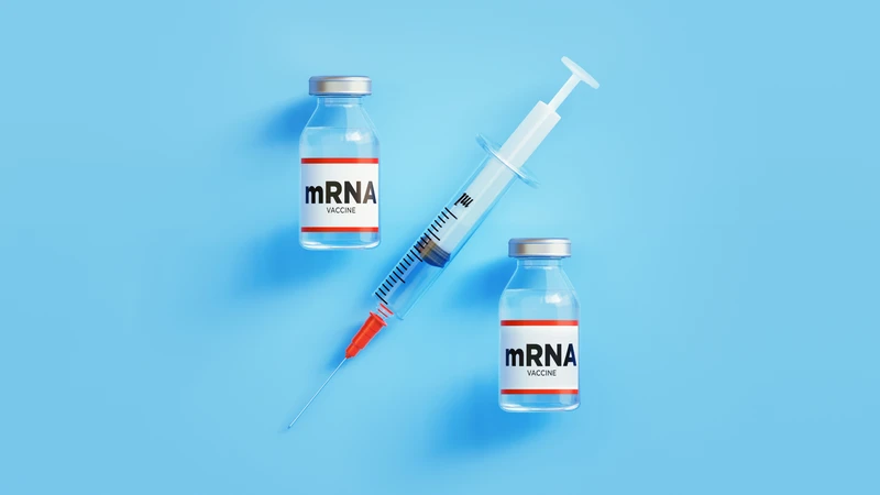 Vắc xin mRNA hoạt động bằng cách đưa vào cơ thể đoạn mRNA mang thông tin di truyền của virus