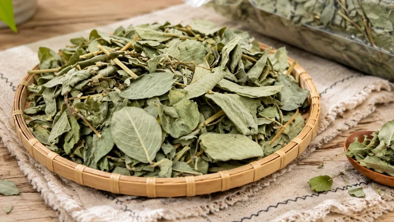 Kim tiền thảo chỉ có vai trò hỗ trợ và không thể thay thế các thuốc điều trị