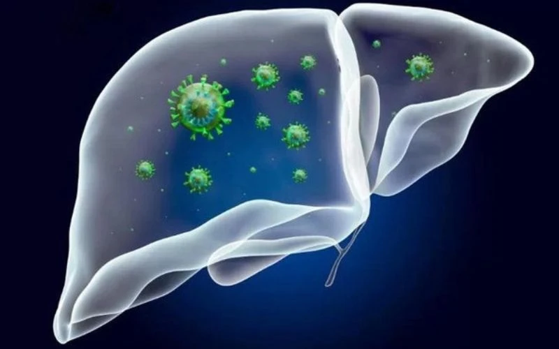 Viêm gan B ở trẻ em là bệnh do virus HBV gây ra