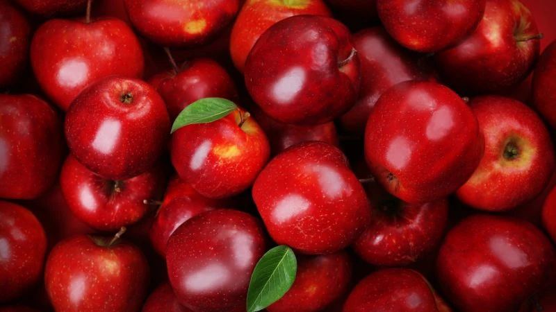 Táo là loại trái cây tốt cho tiêu hóa và nuôi dưỡng lợi khuẩn đường ruột