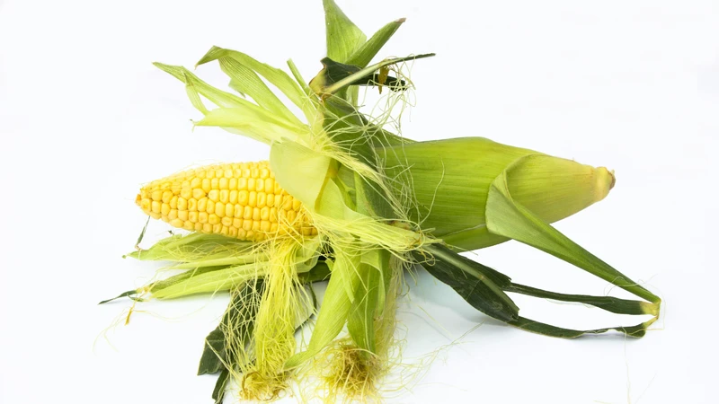 Râu bắp có vị ngọt, tính bình hoặc hơi mát