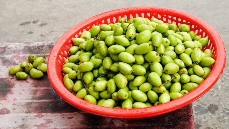 Cà na chứa tannin, flavonoid và axit phenolic, góp phần tạo nên vị chát đặc trưng của quả