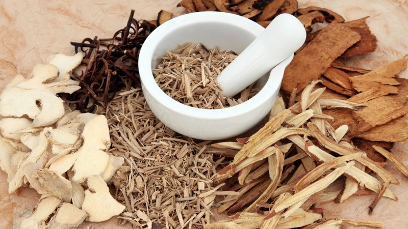 Hạn chế sử dụng thảo dược hoặc các thuốc từ thảo dược có khả năng ảnh hưởng đến nội tiết tố