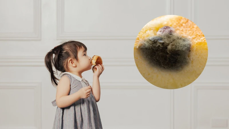 Trẻ ăn bánh bị mốc có sao không?
