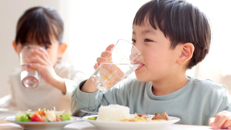 Trẻ bị sốt nổi nốt đỏ như muỗi đốt​: Nguyên nhân và cách xử trí 4