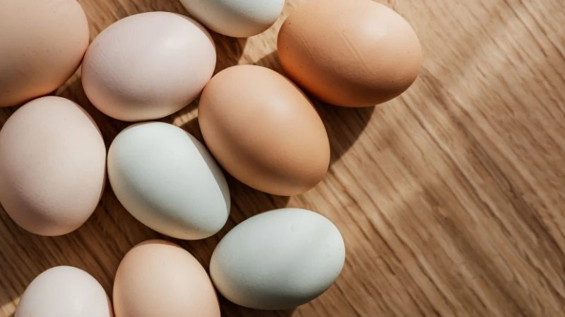 Trứng cung cấp protein và vitamin cần thiết cho trẻ nhỏ