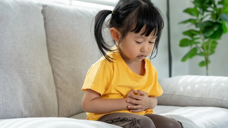 Trẻ em ăn vải có tốt không? Lợi ích và những lưu ý cha mẹ cần biết 2