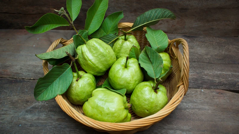 tre-em-bi-non-va-tieu-chay-nen-an-gi (3).png