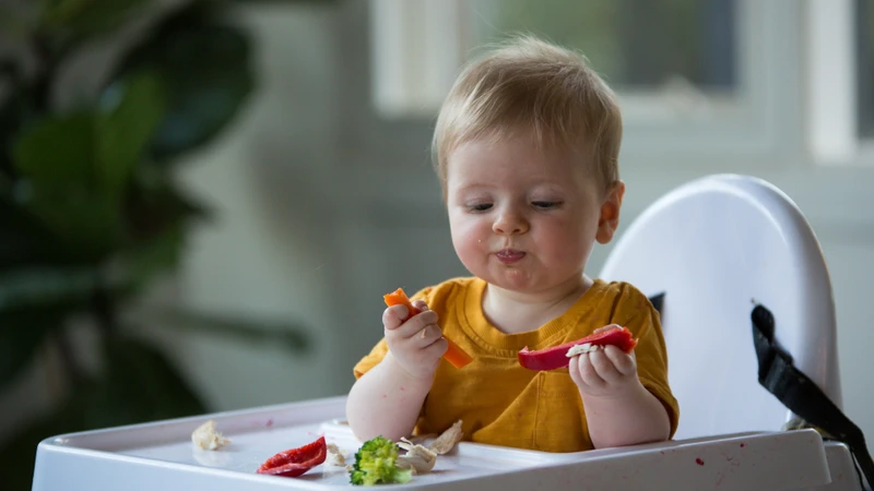 Trẻ mấy tháng biết cầm nắm? Hành trình phát triển kỹ năng của bé 3