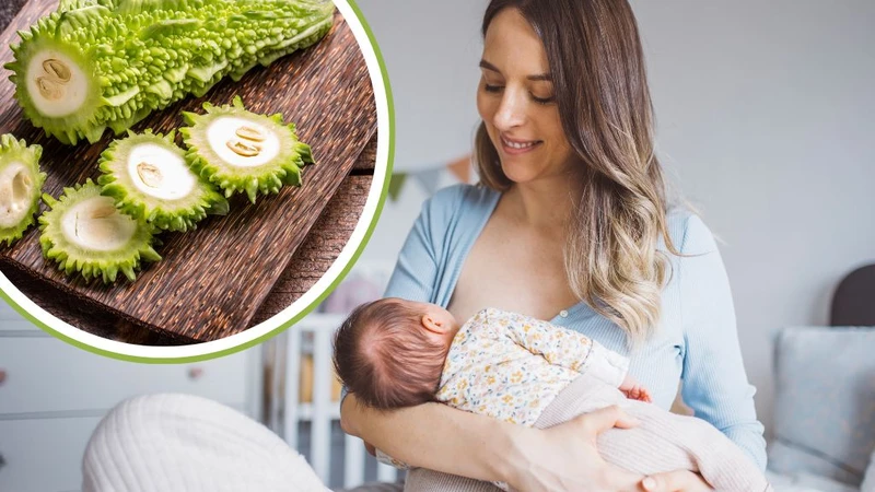 Cho con bú ăn mướp đắng được không? Có tốt không? 1